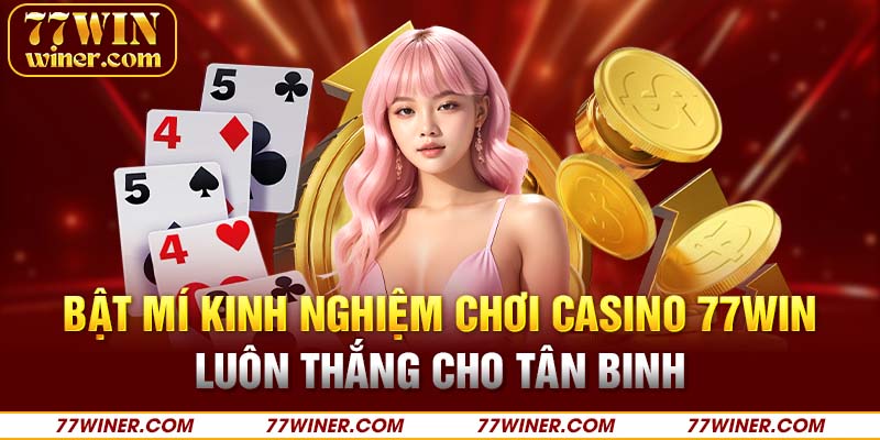 Bật mí kinh nghiệm chơi casino 77Win luôn thắng cho tân binh