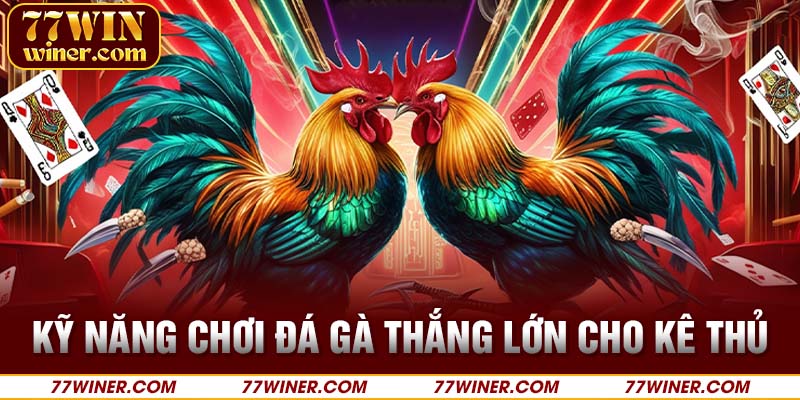 Kỹ năng chơi đá gà thắng lớn cho kê thủ