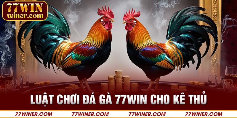 Luật chơi đá gà 77Win cho kê thủ